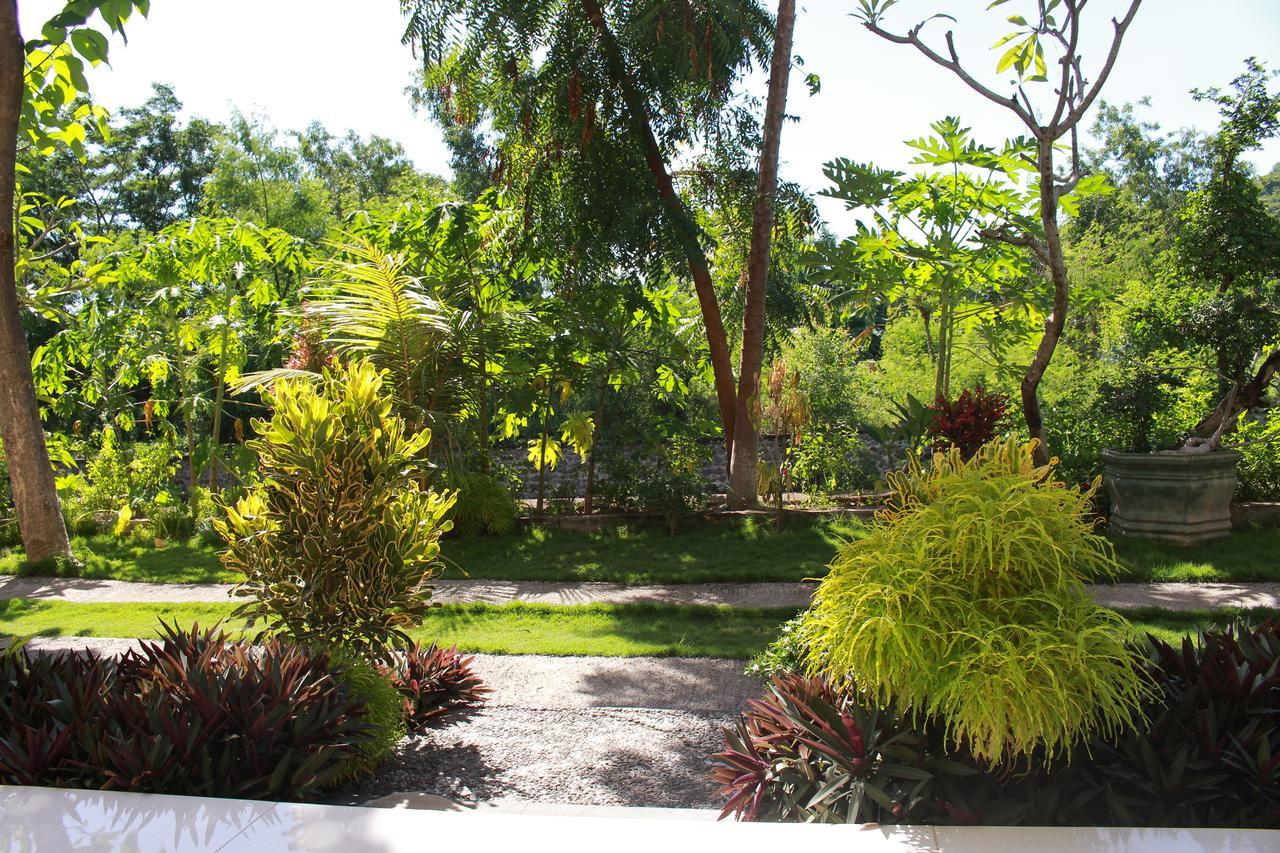 Taman Padi Villa Amed Екстериор снимка